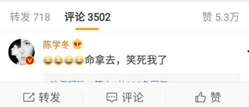 吃瓜神评论神回复,网络舆论场上的智慧火花