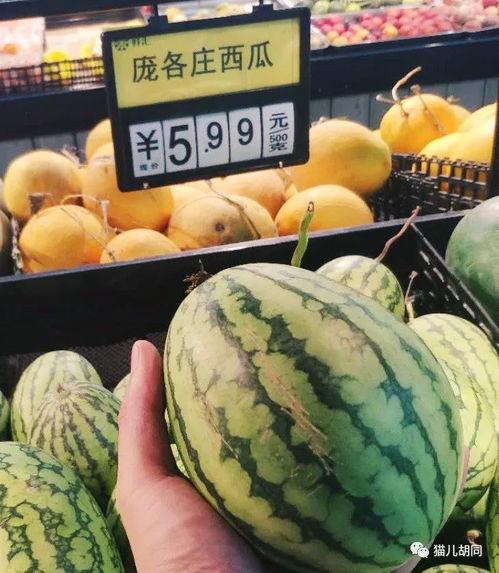 圆欣吃瓜,揭秘娱乐圈那些不为人知的幕后故事