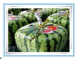 吃瓜用什么标签形容,揭秘“吃瓜群众”的标签魅力