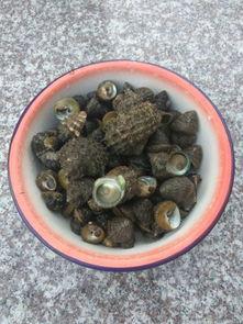 福信平潭吃瓜,一场别开生面的“吃瓜”盛宴