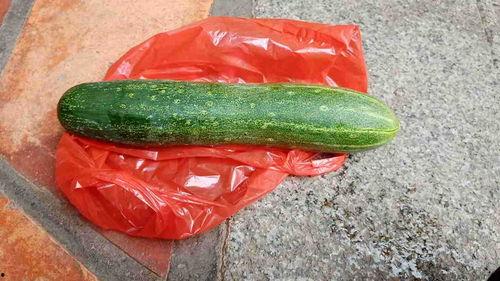 有瓜可以吃吗,揭秘“有瓜可以吃吗”的甜蜜诱惑