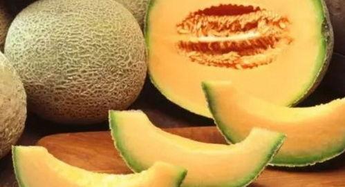 光头强一边吃哈密瓜吗,光头强独享哈密瓜美味时光