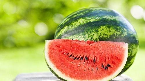 吃西瓜和瓜,从果实到瓜田的奇妙之旅