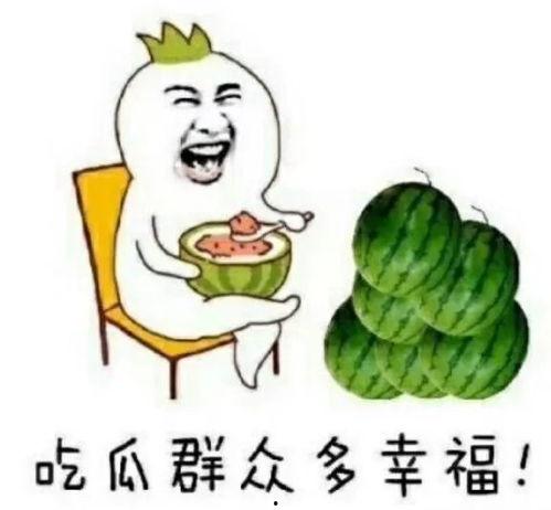 吃瓜的快乐体验